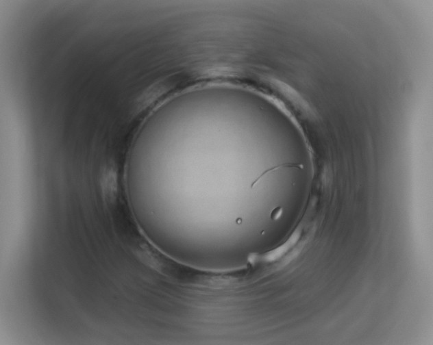 X0000113881209200909241345