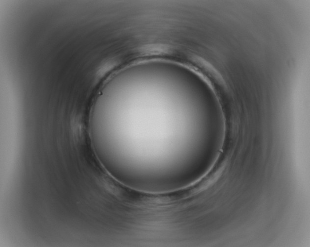 X0000113881210200909241345