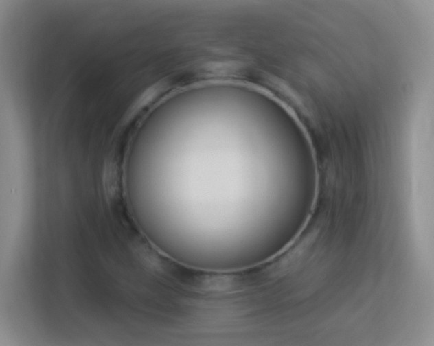 X0000113881211200909241345