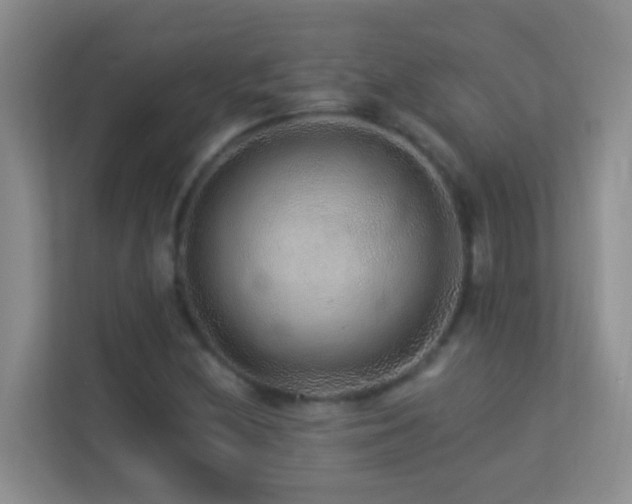 X0000113881212200909241345