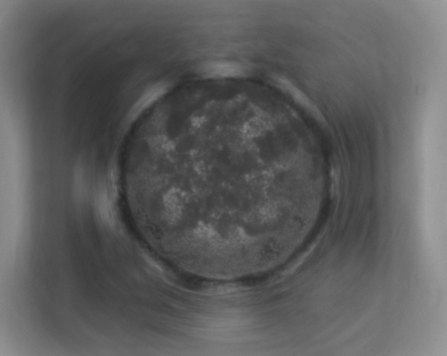 X0000113881213200909241345