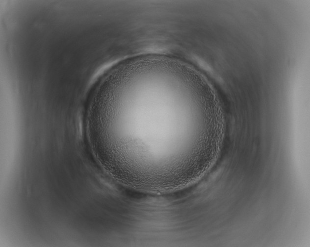 X0000113881214200909241345