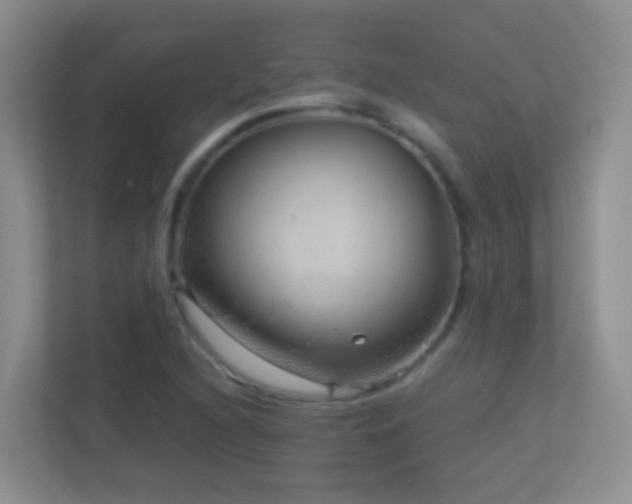 X0000113881216200909241345