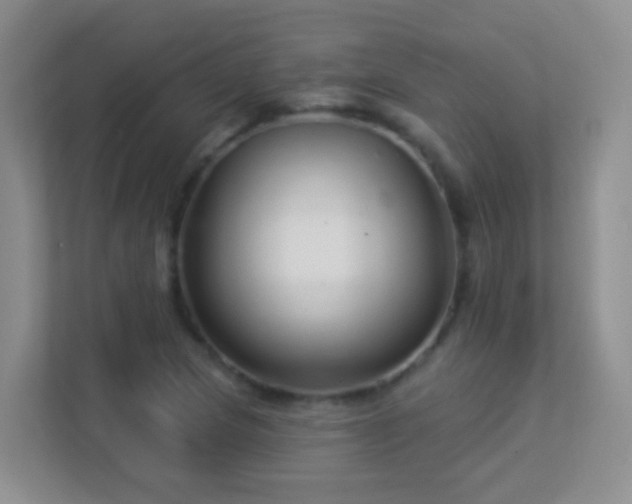 X0000113881217200909241345