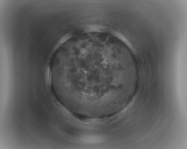 X0000113881219200909241345