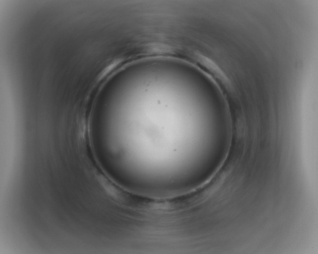 X0000113881220200909241345