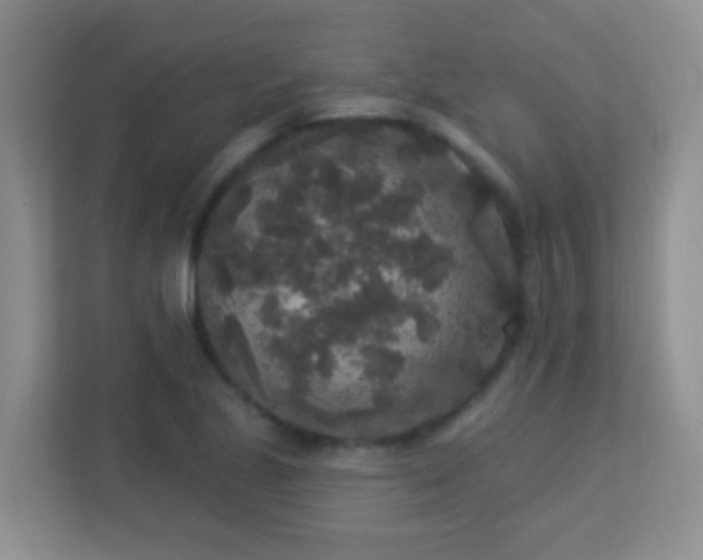 X0000113881221200909241345