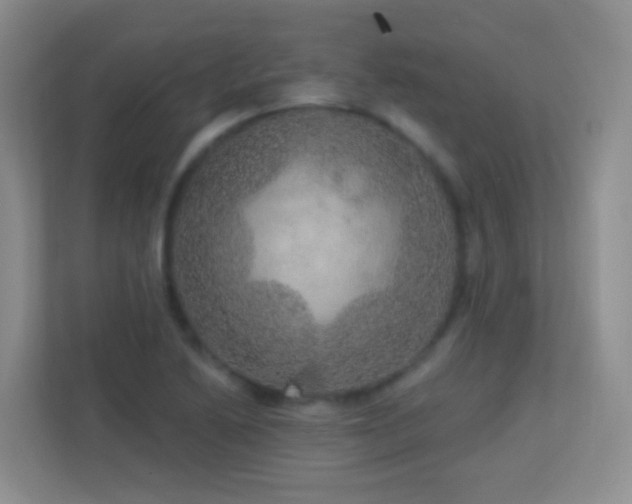 X0000113881222200909241345