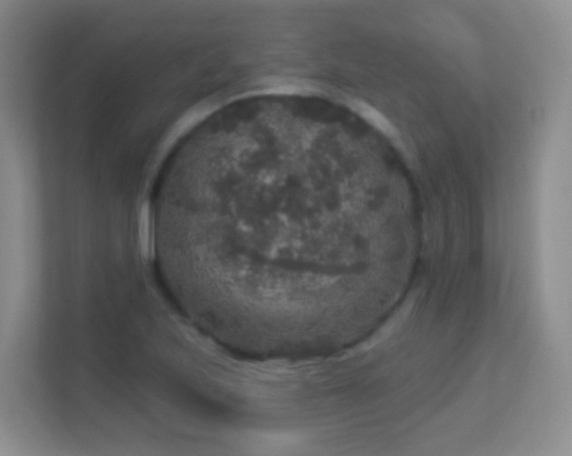 X0000113881223200909241345