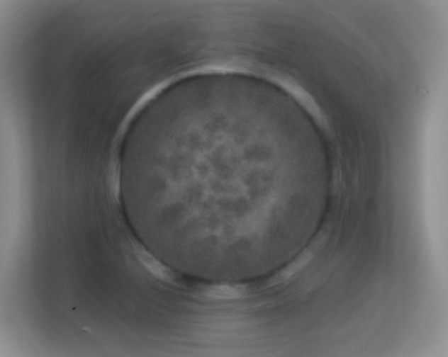 X0000113881224200909241345