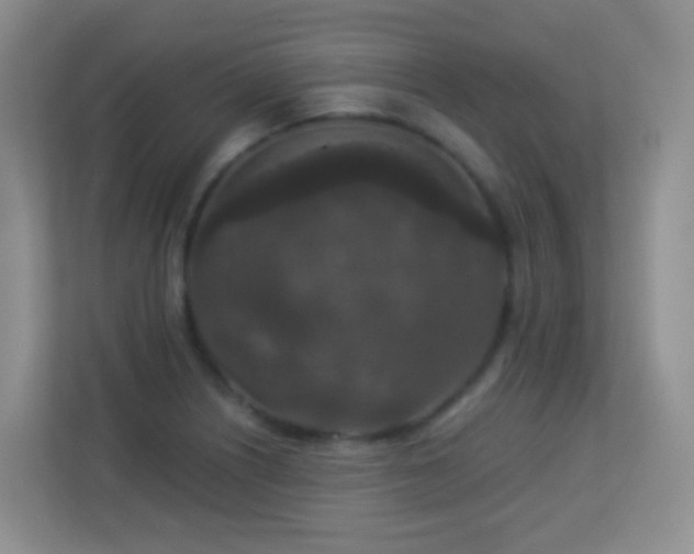 X0000113881226200909241345