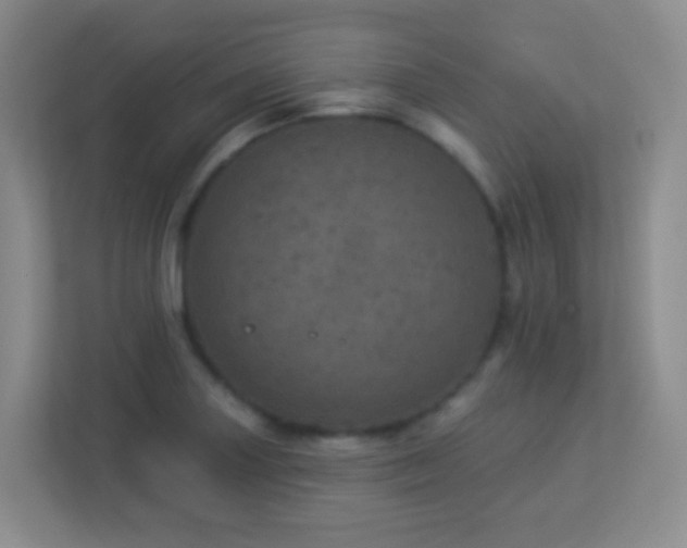X0000113881227200909241346
