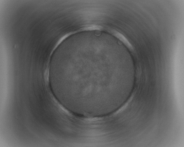 X0000113881228200909241346