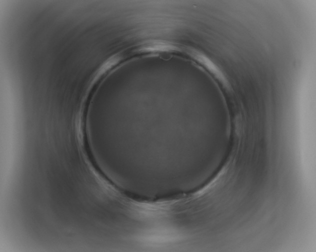 X0000113881229200909241346