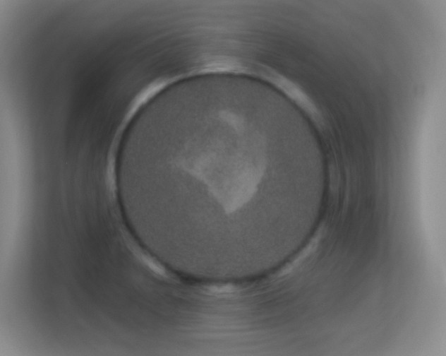 X0000113881230200909241346