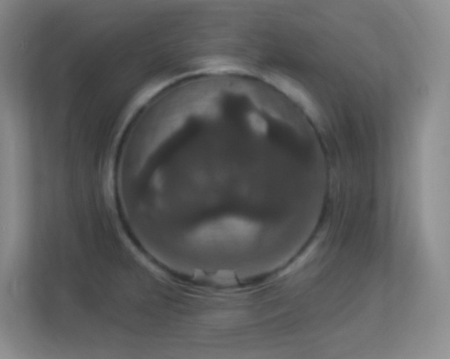 X0000113881231200909241346