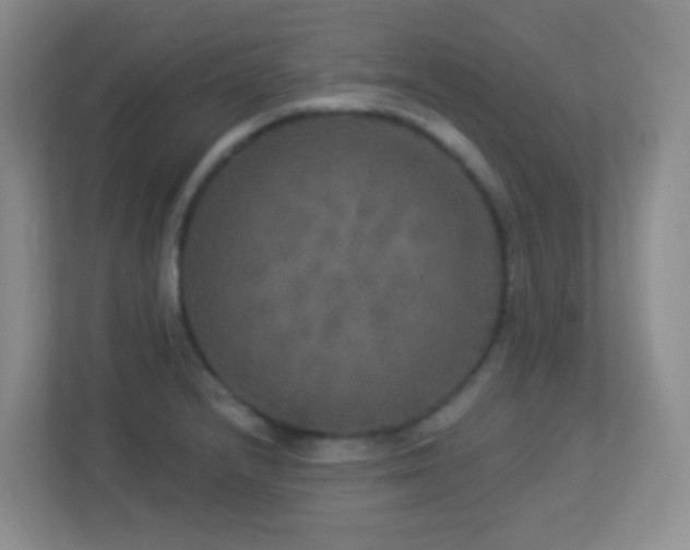 X0000113881232200909241346