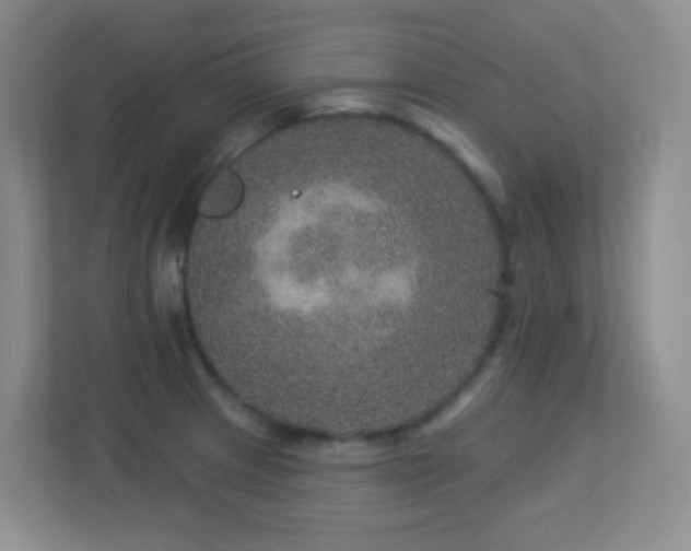 X0000113881233200909241346