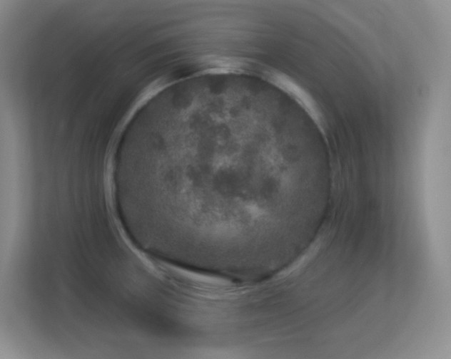 X0000113881235200909241346