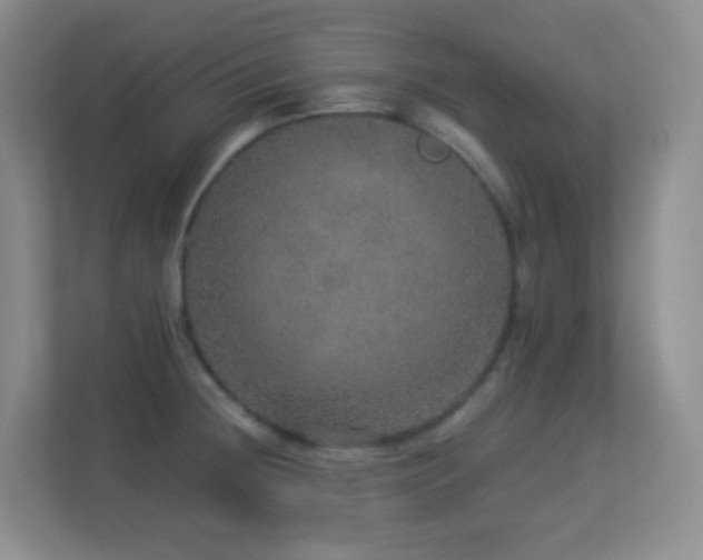 X0000113881236200909241346