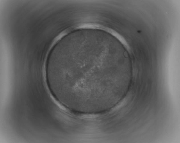 X0000113881237200909241346