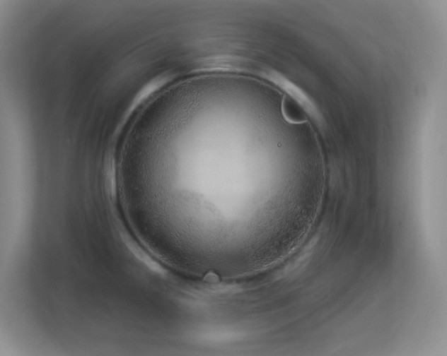 X0000113881238200909241346