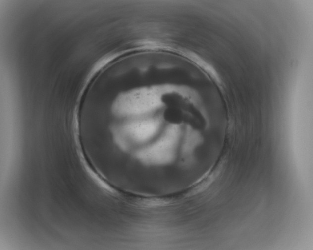 X0000113881239200909241346
