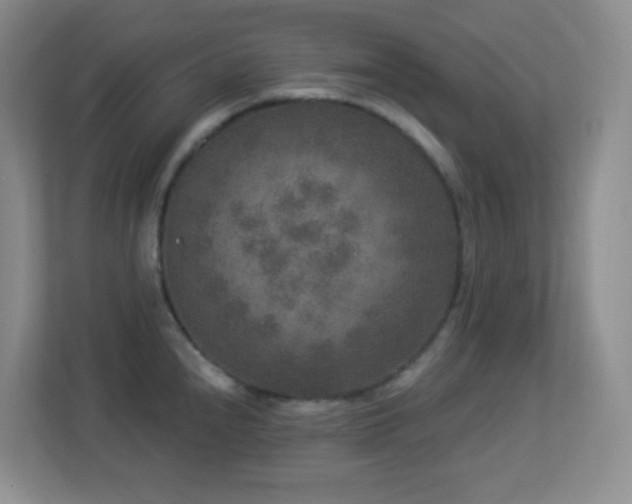 X0000113881240200909241346
