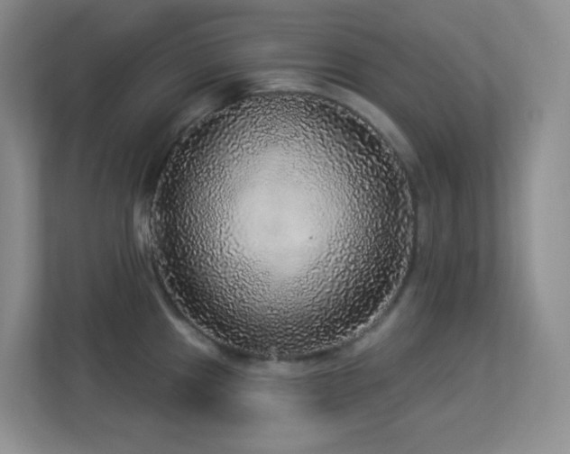 X0000113881241200909241346