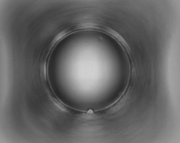 X0000113881242200909241346