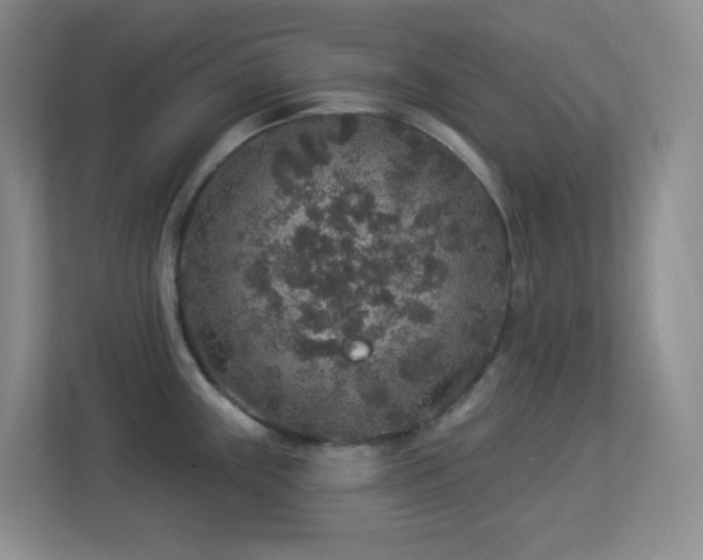 X0000113881243200909241346