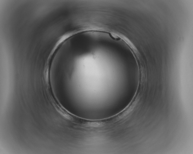 X0000113881246200909241346