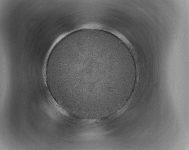 X0000113881248200909241346