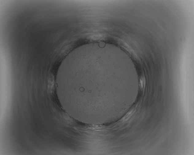 X0000113881251200909241345