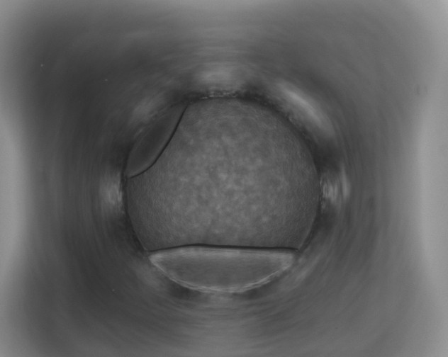 X0000113881252200909241345