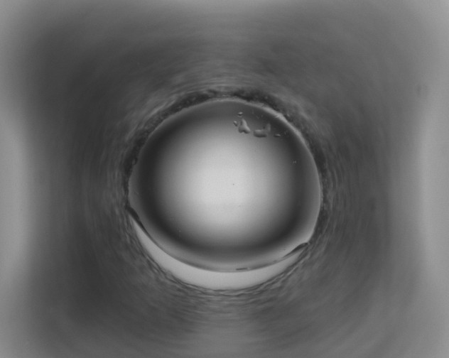 X0000113881253200909241345