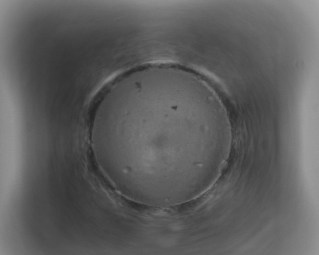 X0000113881255200909241345