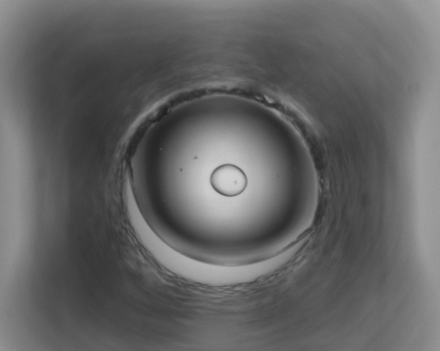 X0000113881256200909241345