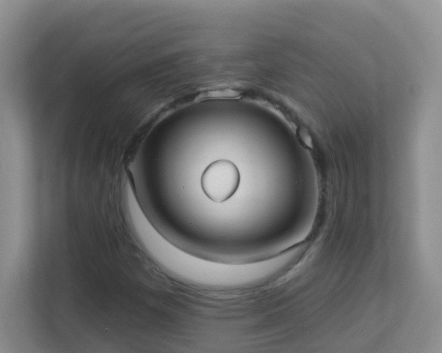 X0000113881257200909241345
