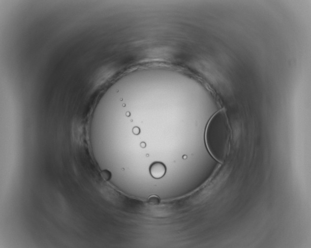X0000113881258200909241345