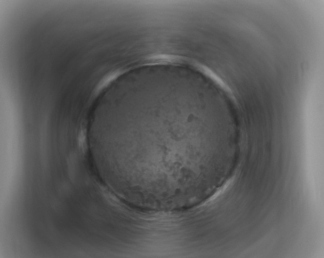 X0000113881259200909241345