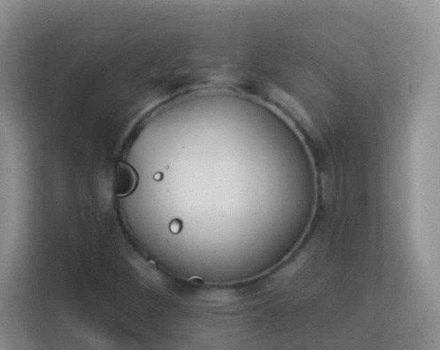 X0000113881260200909241345