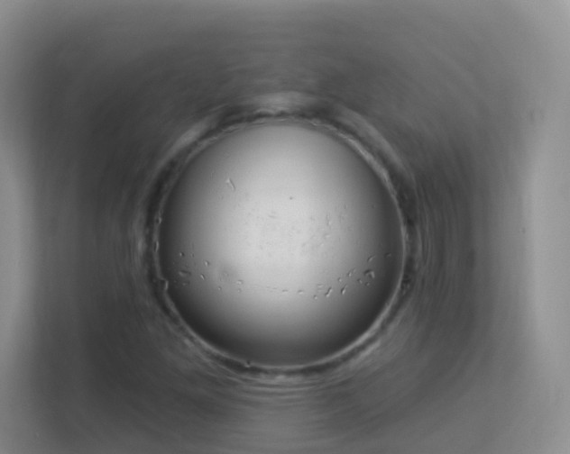 X0000113881261200909241345