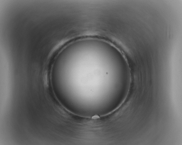 X0000113881262200909241345