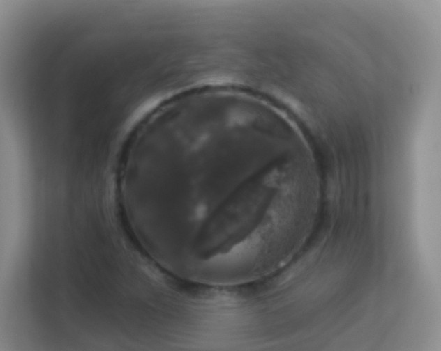 X0000113881263200909241345