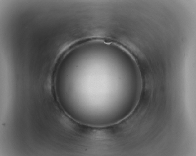 X0000113881264200909241345
