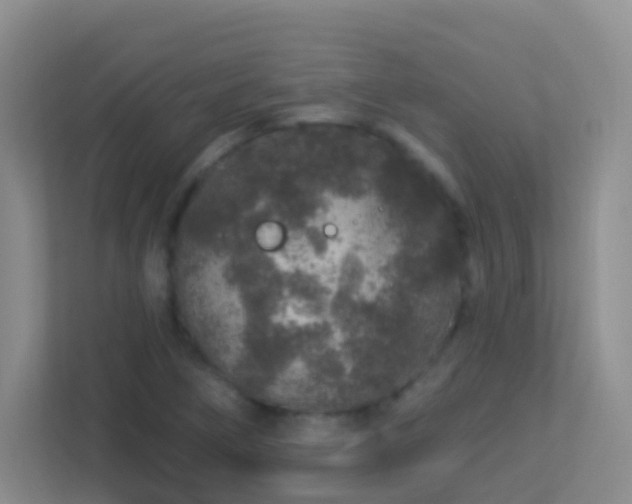 X0000113881266200909241345