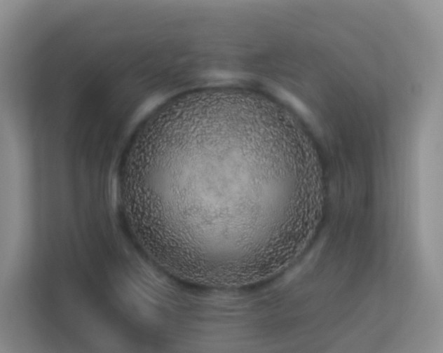 X0000113881267200909241345