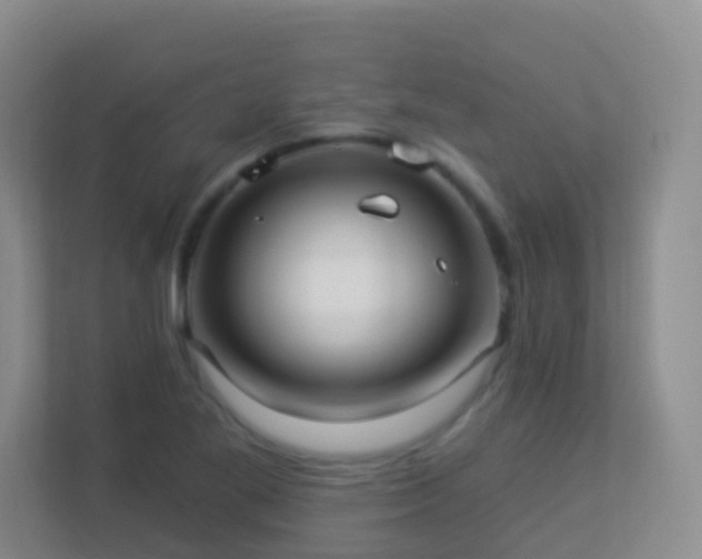 X0000113881269200909241345