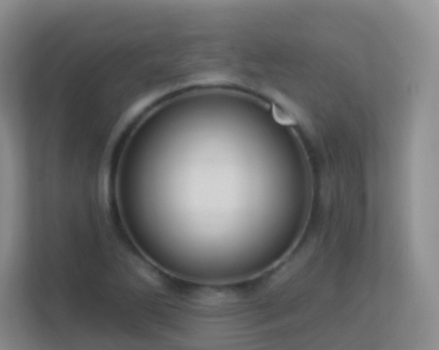 X0000113881270200909241345